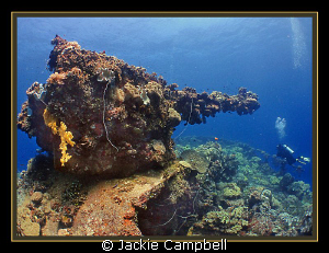 Bow gun on the Fujikawa Maru.
Canon Ixus , fisheye lens ... by Jackie Campbell 